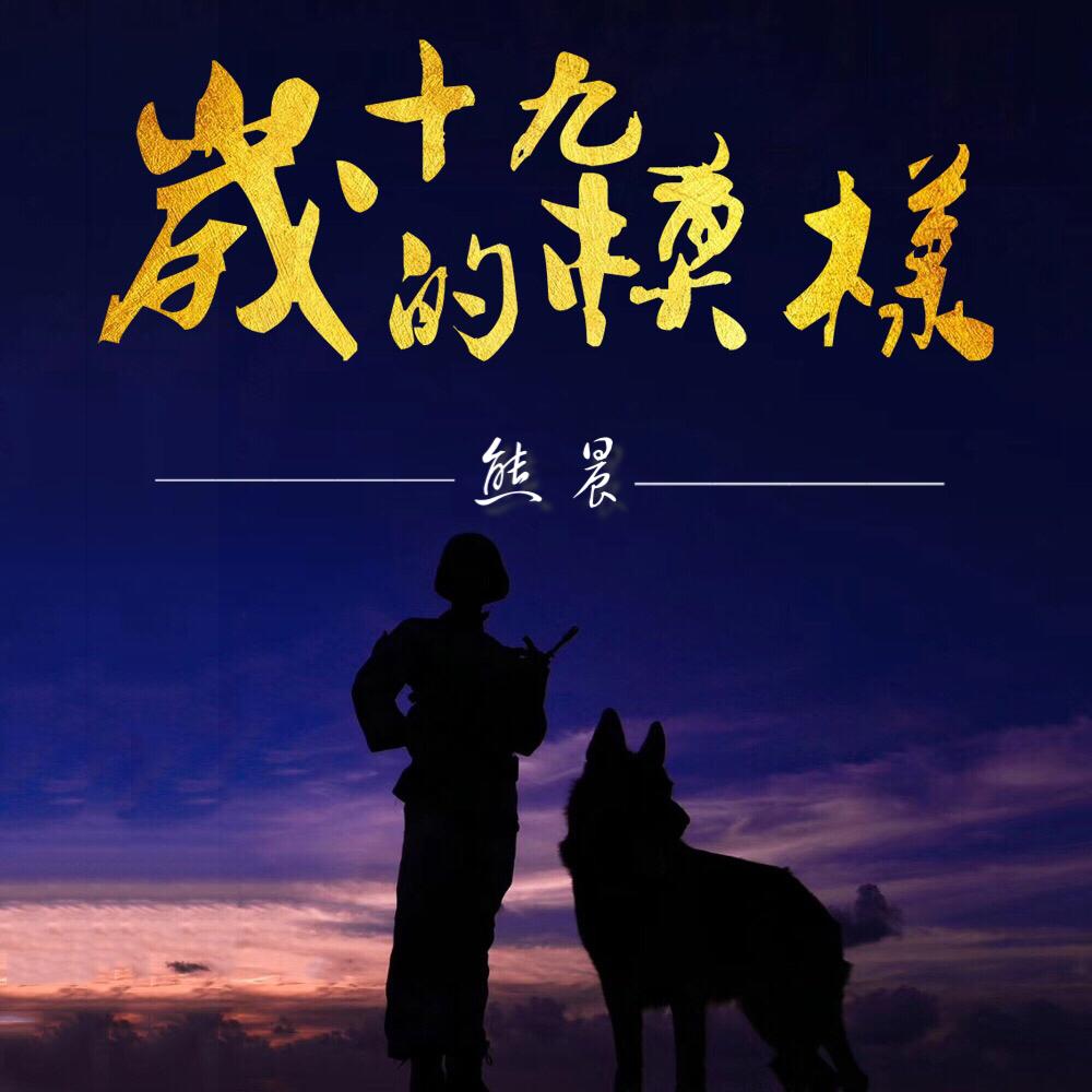 十九岁的模样封面