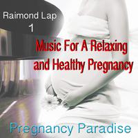 Pregnancy Paradise 1: Music for a Relaxing and Healthy Pregnancy