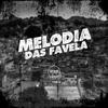 DJ AKA DF - Melodia das Favela