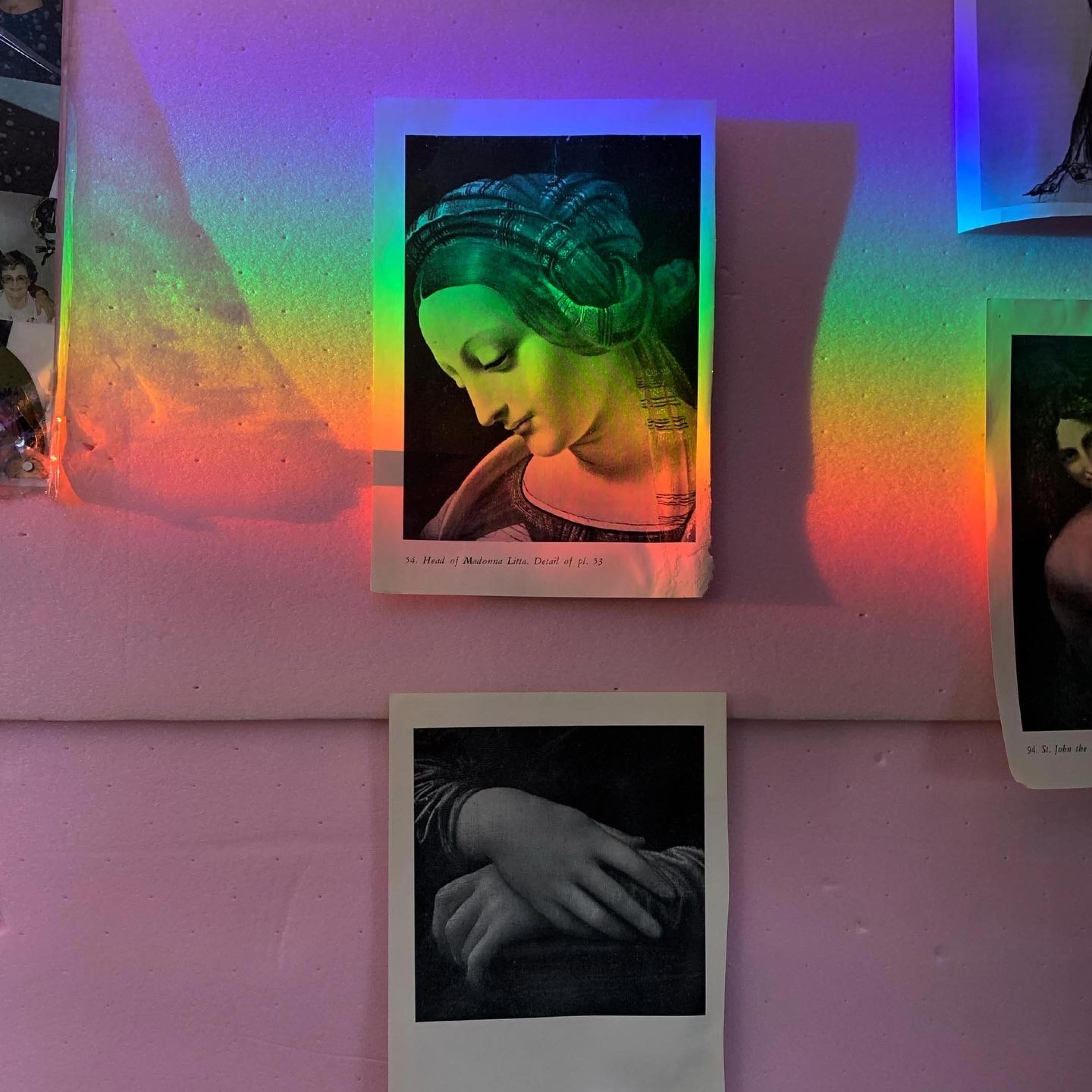 maggie #3 (rehabilitated)