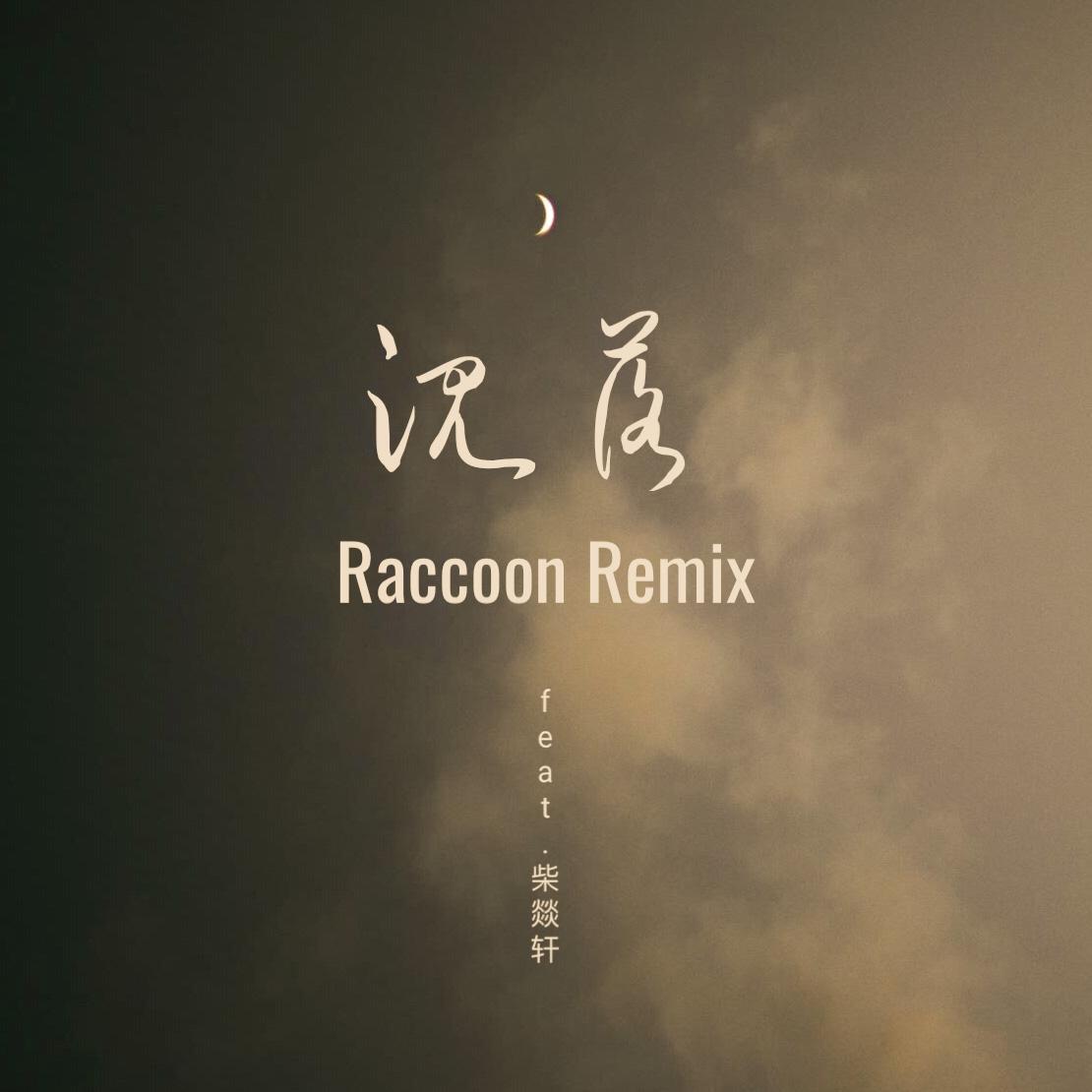 沉落（Raccoon Remix）封面