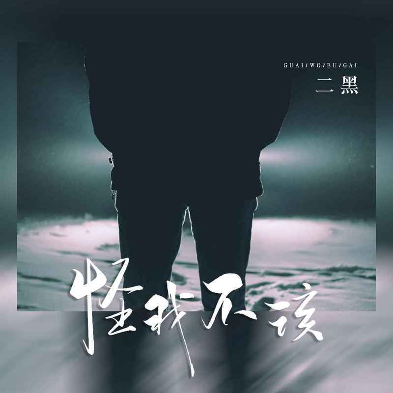 怪我不该 (DJ版)封面
