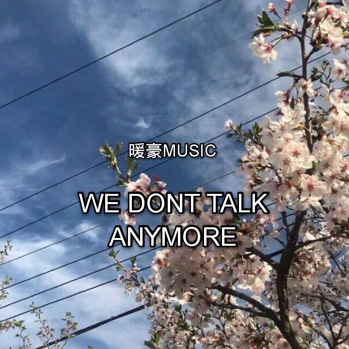 Charlie Puth-We Dont Talk Anymore（暖豪Music remix）
