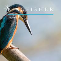 Kingfisher, Vol. 5