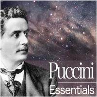 Puccini Essentials