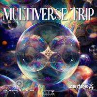 Multiverse Trip