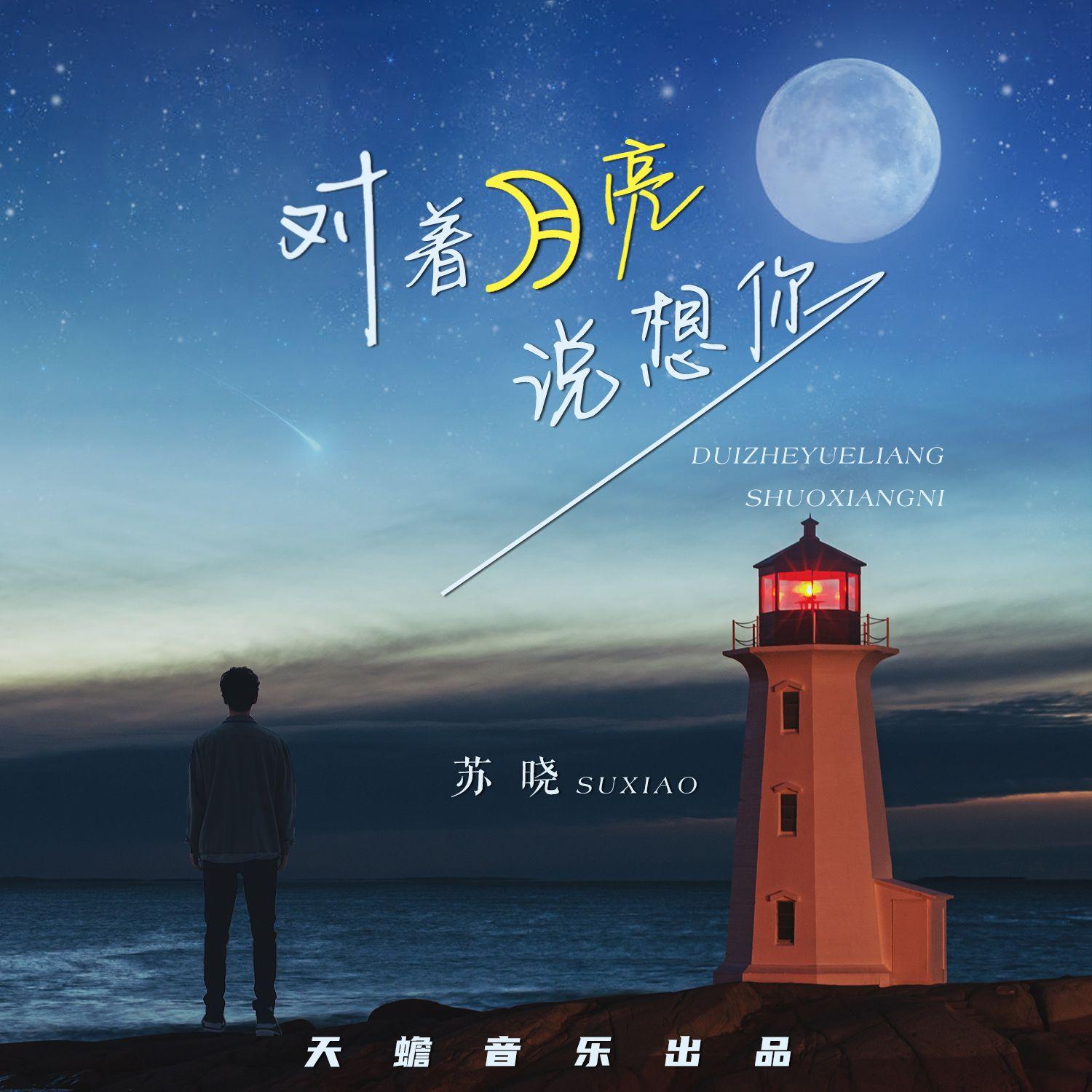 对着月亮说想你（伴奏）封面