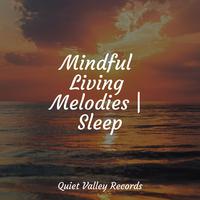 Mindful Living Melodies | Sleep For Dogs