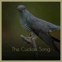 The Cuckoo Song