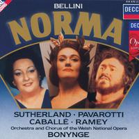 Bellini: Norma