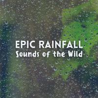 Epic Rainfall: Sounds of the Wild