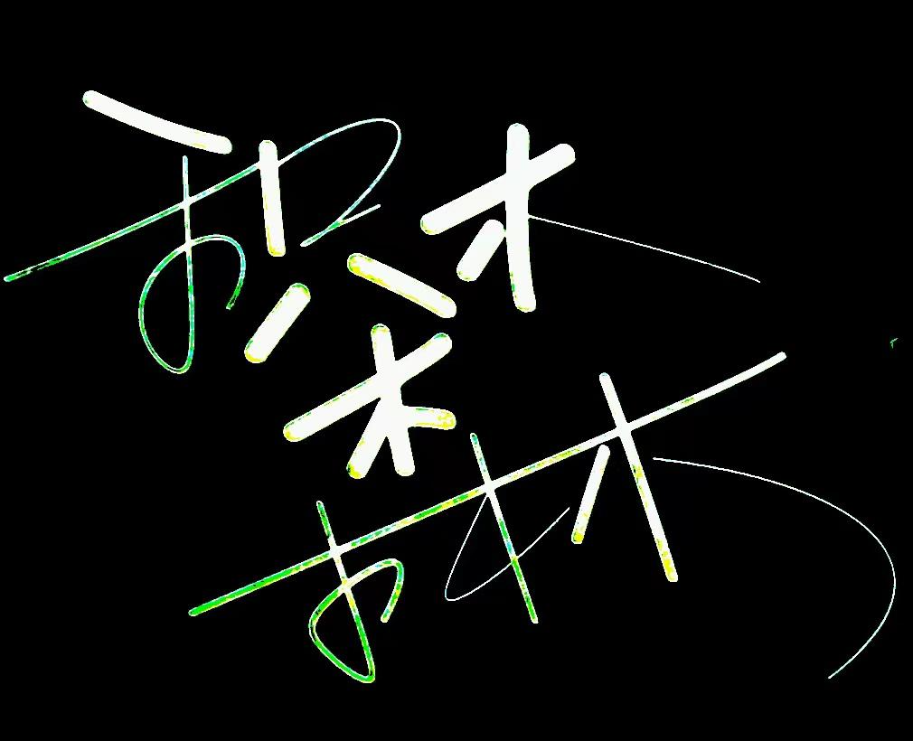 积木森林乐队