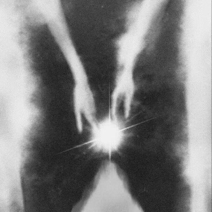 Lost Butterfly（迷失蝴蝶）