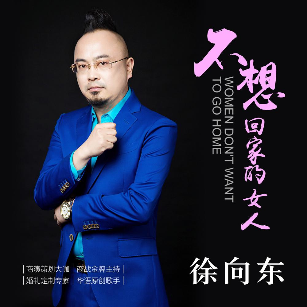 不想回家的女人 徐向东 单曲 网易云音乐