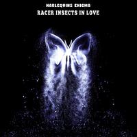 Racer Insects in Love