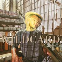 WILDCARD.