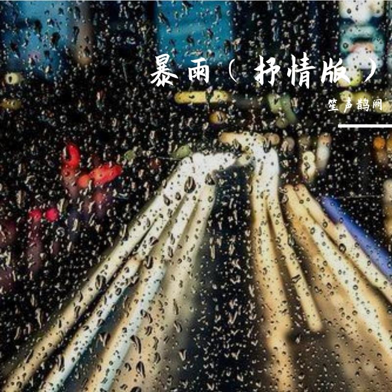 暴雨(抒情女声） - 笙声鹊阙封面