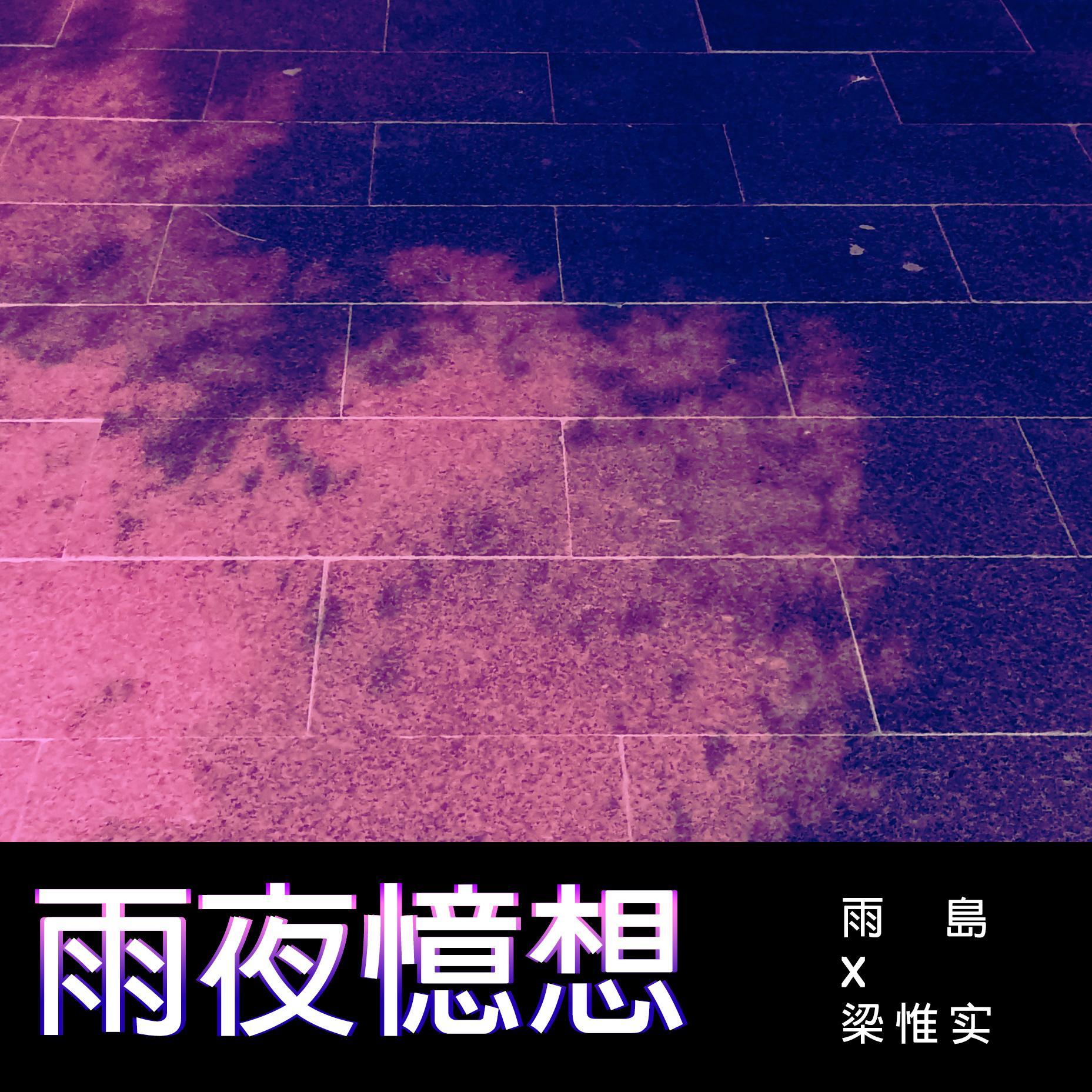 雨夜憶想封面