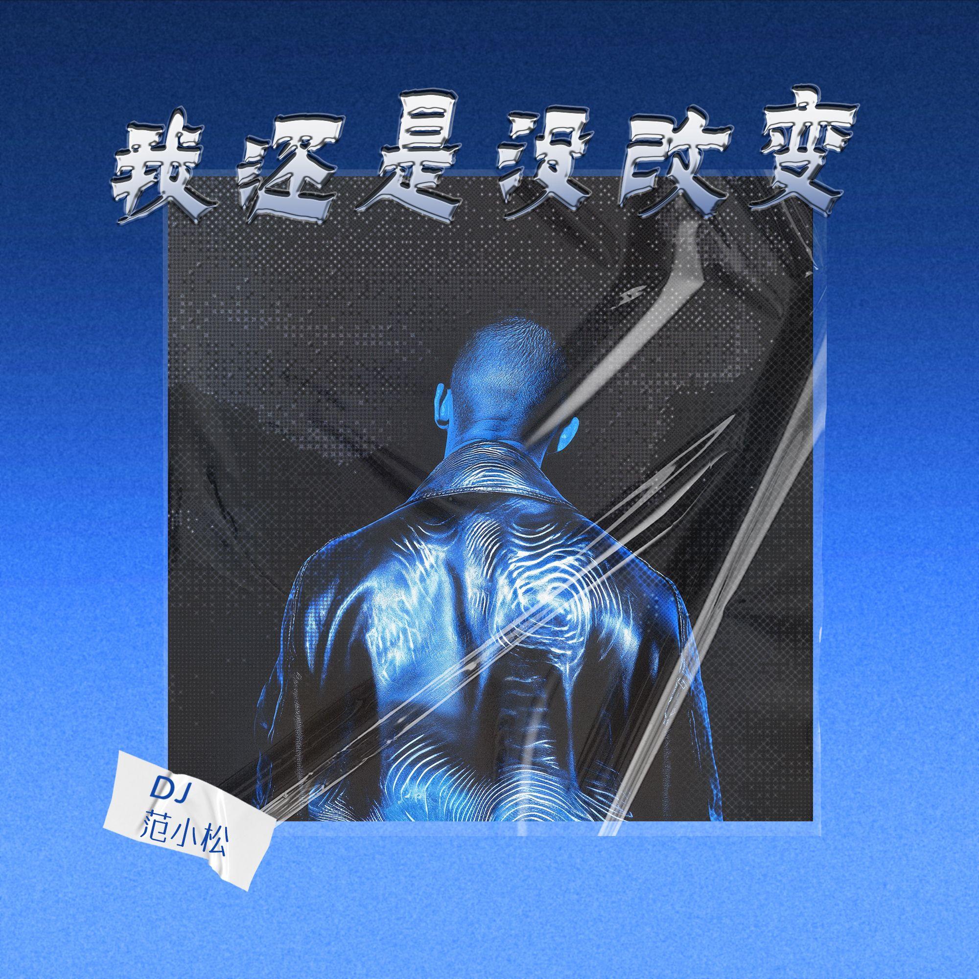 我还是没改变 (DJ版)封面