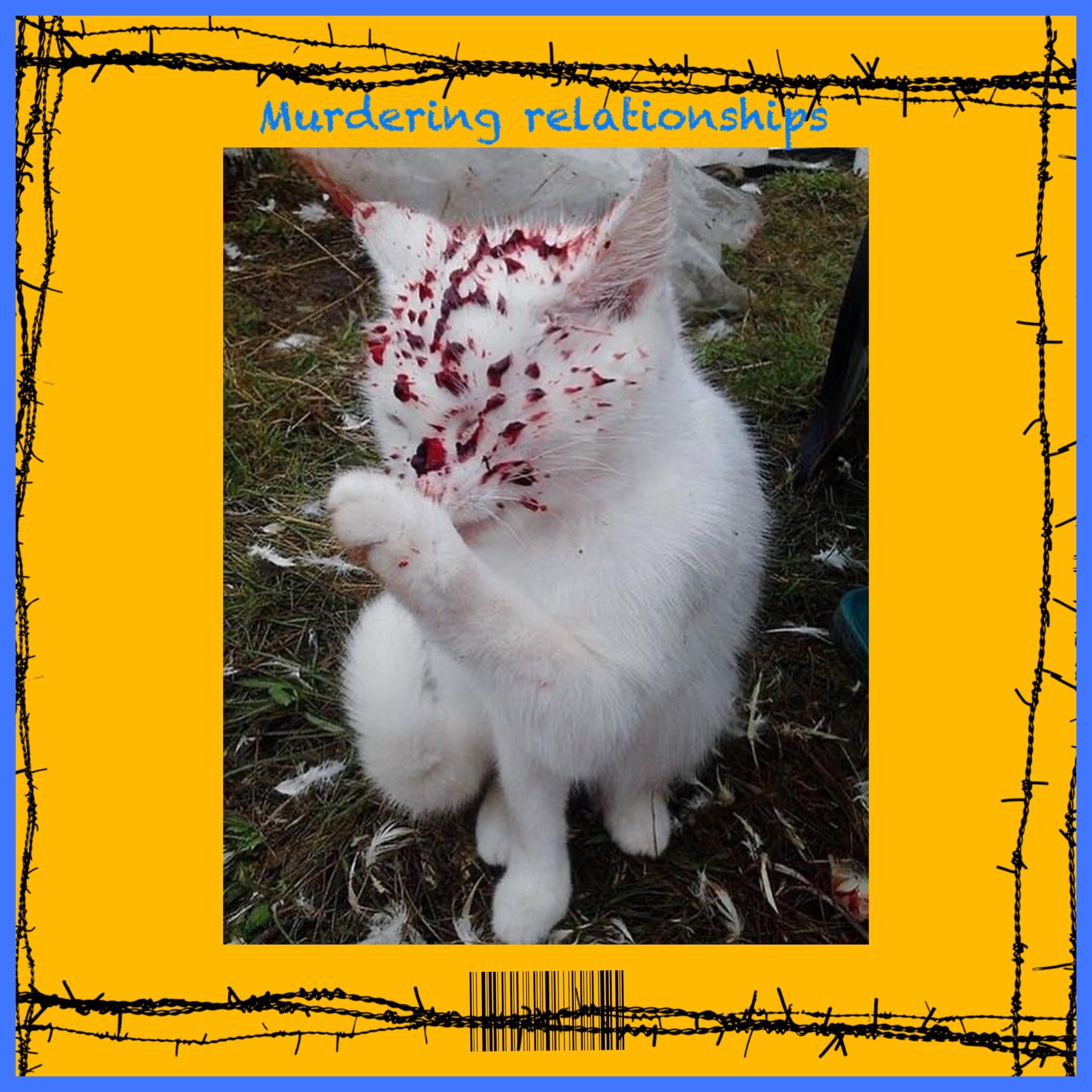 murdering relationships