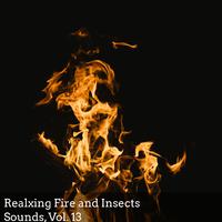 Realxing Fire and Insects Sounds, Vol. 13