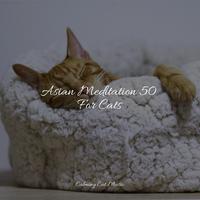 Jazz Music for Cats - Karma Flows