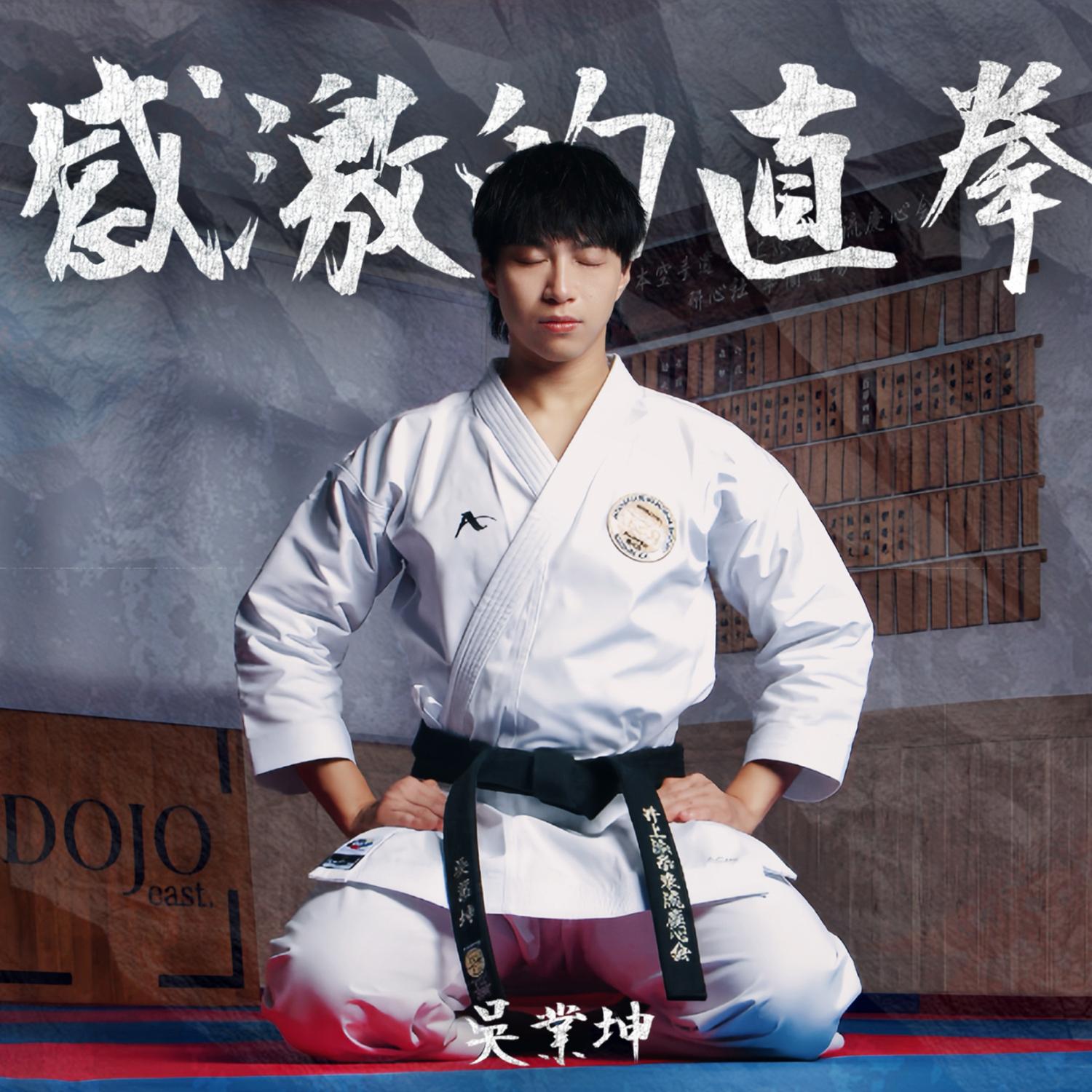 吴业坤 ·《感激的直拳》