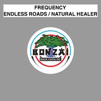 Endless Roads / Natural Healer