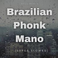 Brazilian Phonk Mano (Slowed) [Remix]