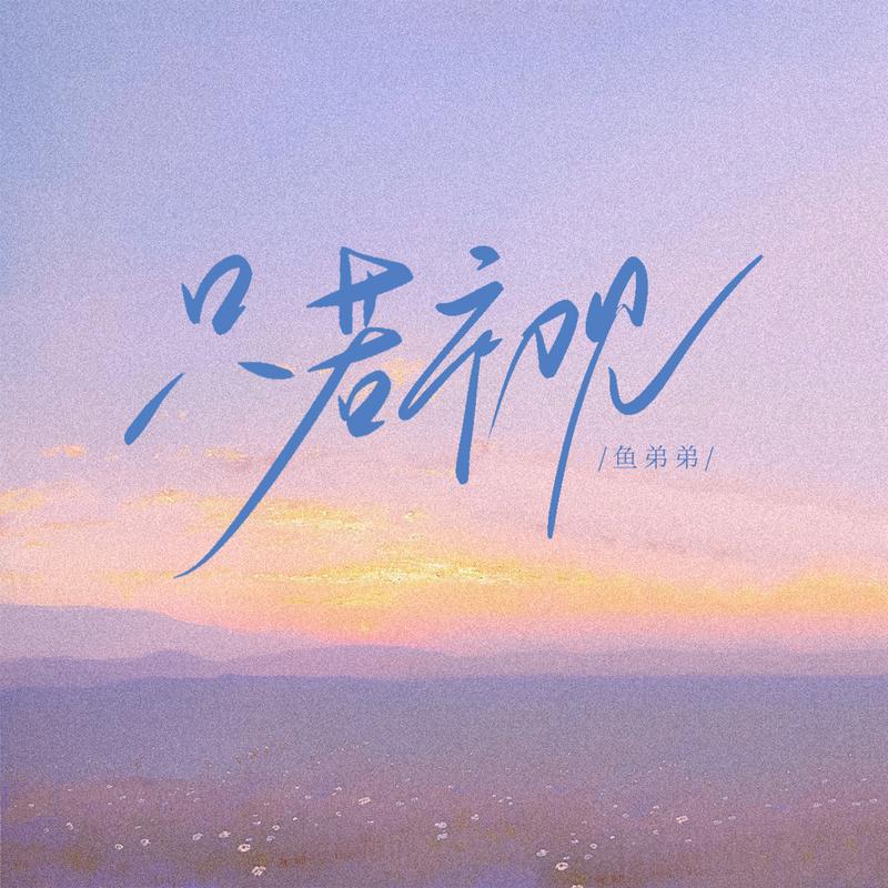 只若初见 (温柔治愈版)封面
