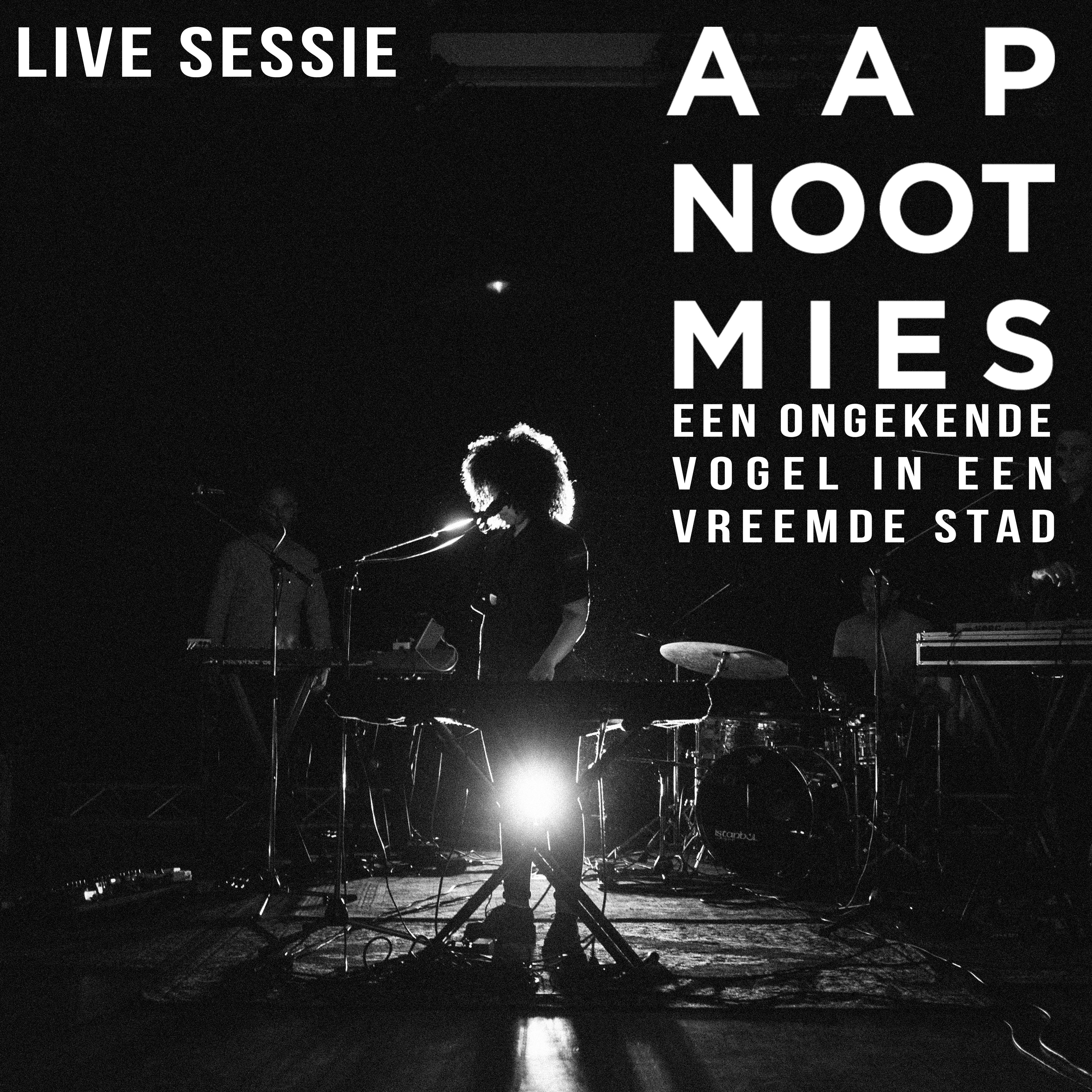 Vogel Zonder Grens (Live)