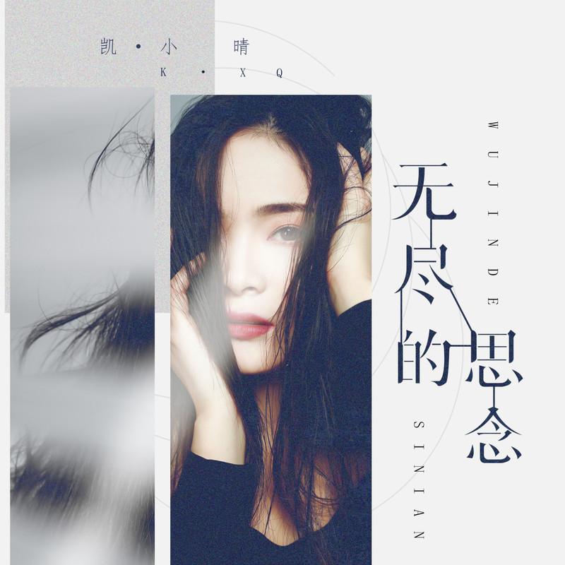 无尽的思念 (DJ版)封面