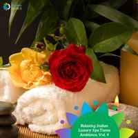 Relaxing Indian Luxury Spa Tunes Ambience, Vol. 4