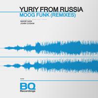 Moog Funk (Remixes)