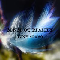 Sense of Reality