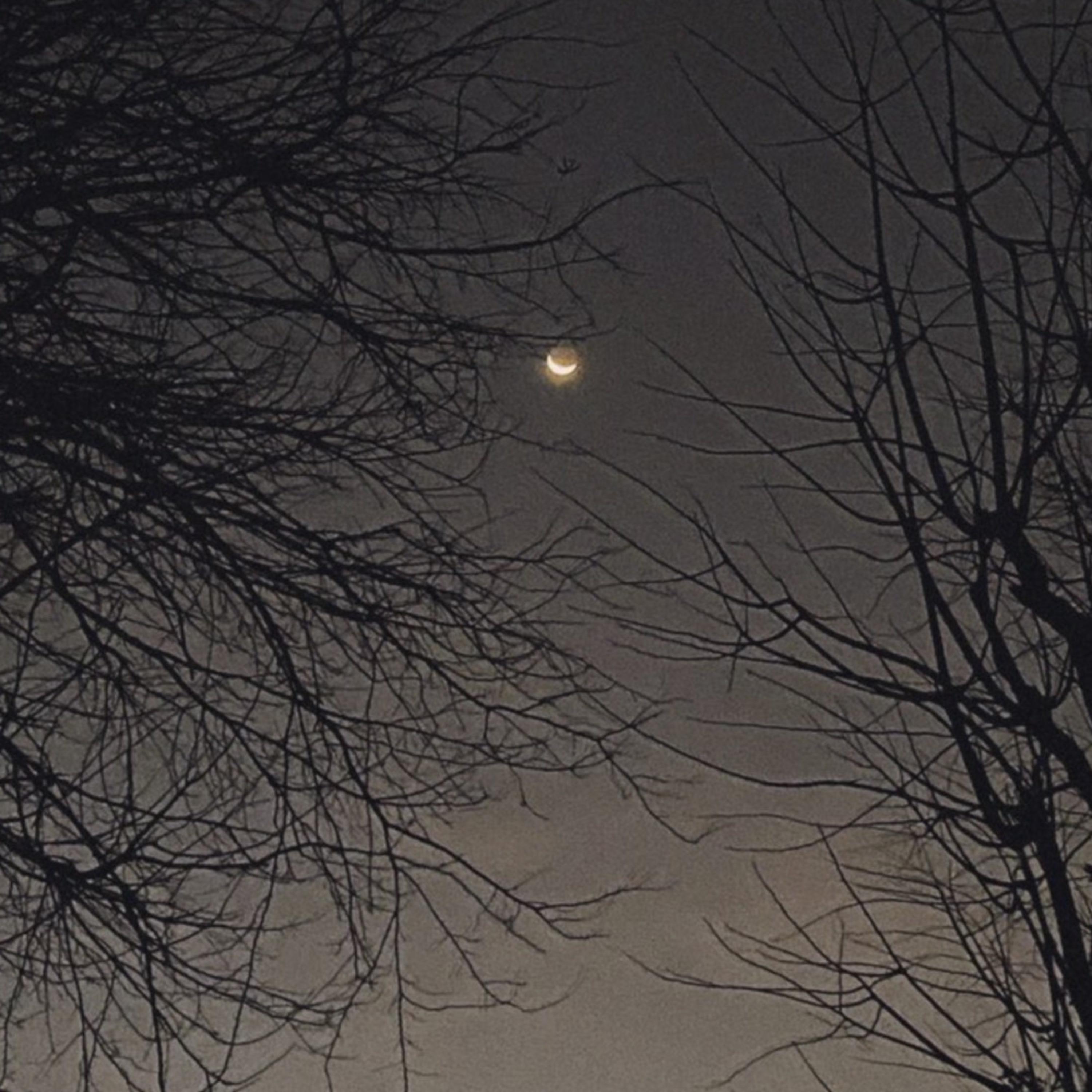 ¿Dime quién te entiende?