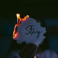 Stay