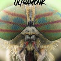 Ultramonk资料,Ultramonk最新歌曲,UltramonkMV视频,Ultramonk音乐专辑,Ultramonk好听的歌