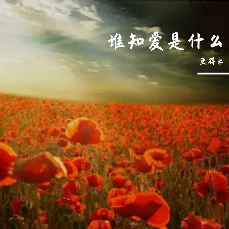 谁知爱是什么封面