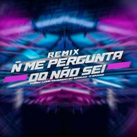 Não Me Pergunta o Que Não Sei (Remix)