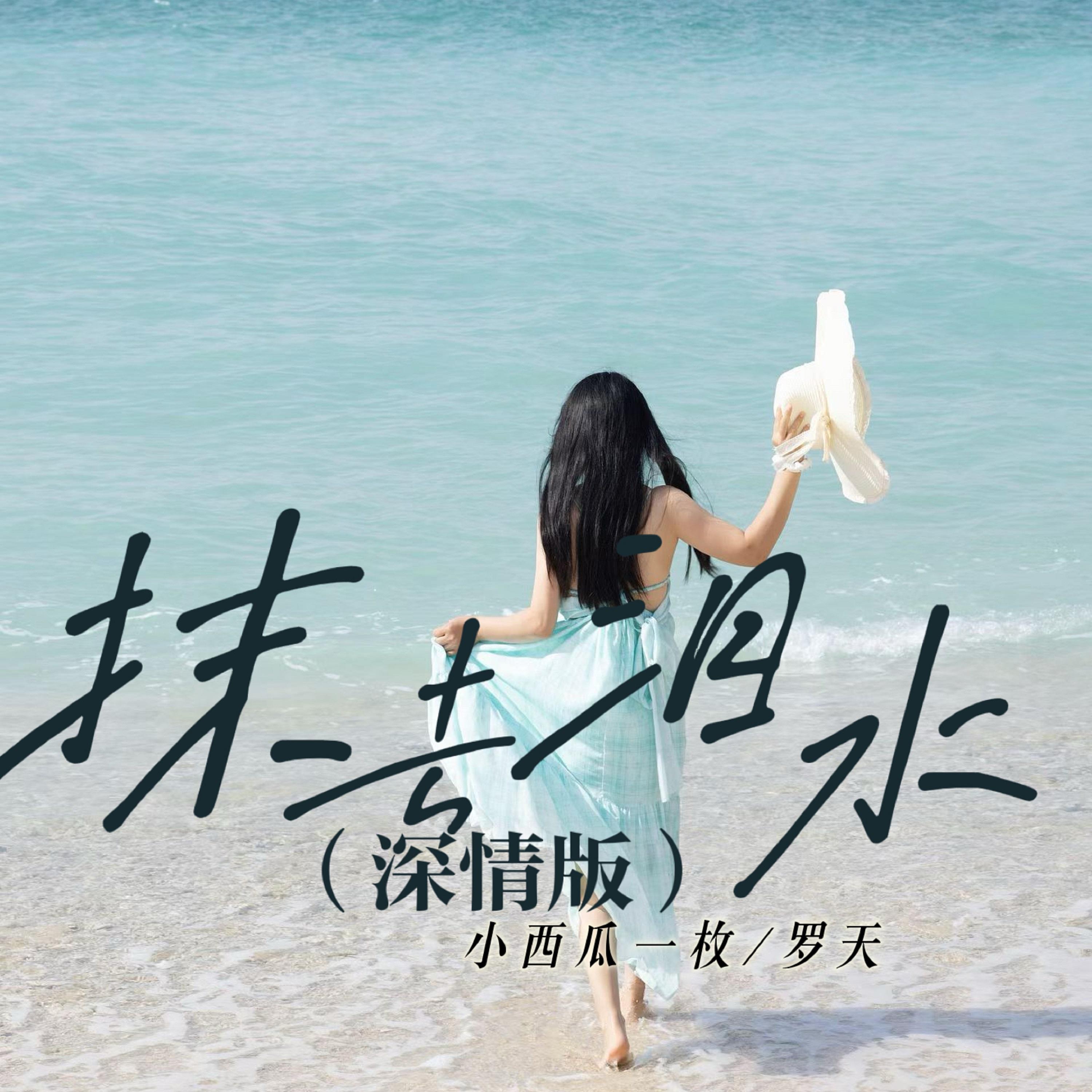 抹去泪水 (深情版) - 小西瓜一枚、罗天封面