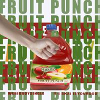 FRUIT PUNCH 杂果缤治