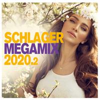 Schlager Megamix 2020.2