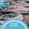 Evergreen Ocean Sounds - Ocean Joy