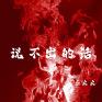 说不出的爱封面