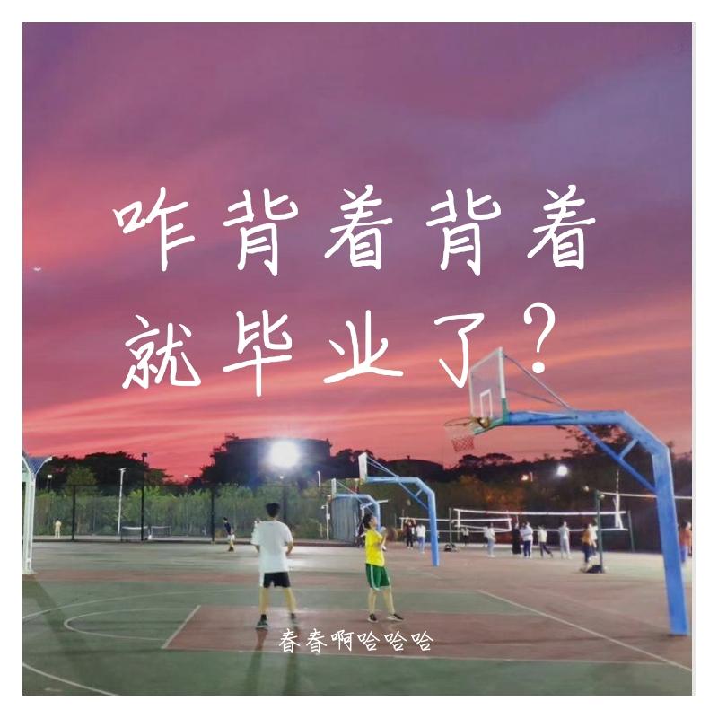 summery封面