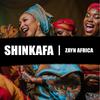 Zayn Africa - Shinkafa