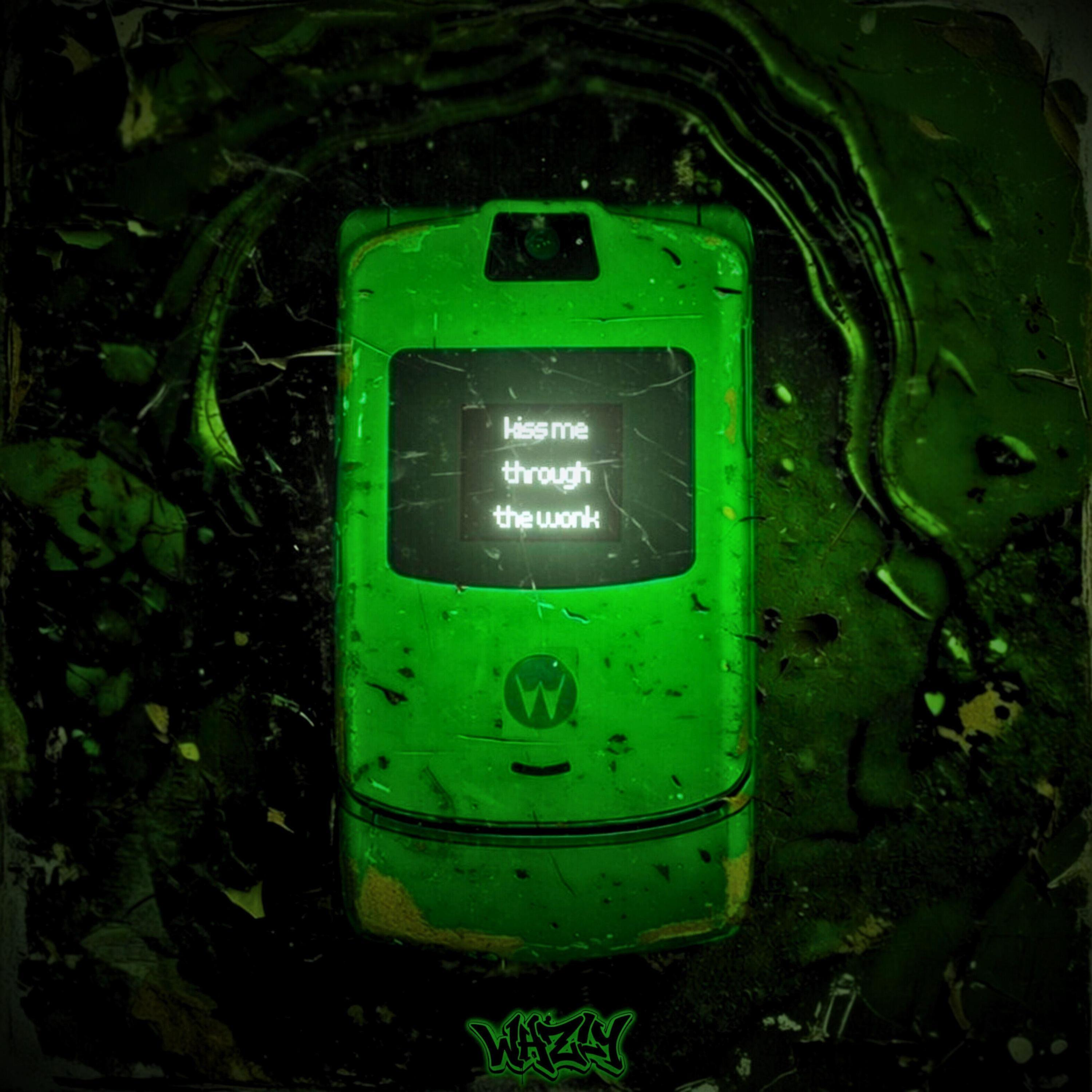 Kiss Me Through The Wonk