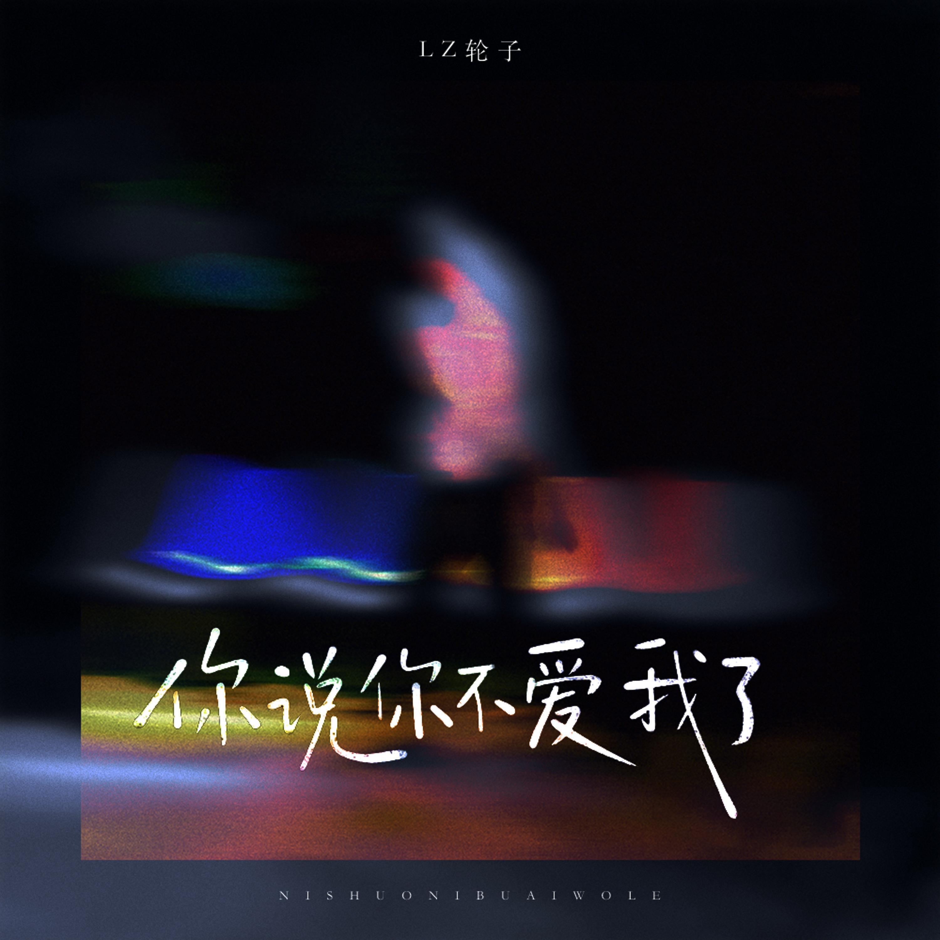 你说你不爱我了