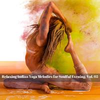 Relaxing Indian Yoga Melodies for Soulful Evening, Vol. 05